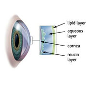 Mukherjee Eye Klinik :: Dry Eye